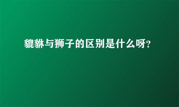 貔貅与狮子的区别是什么呀？