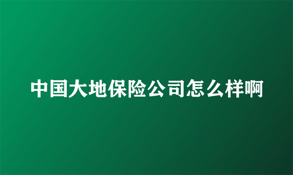 中国大地保险公司怎么样啊