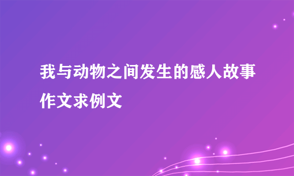 我与动物之间发生的感人故事作文求例文