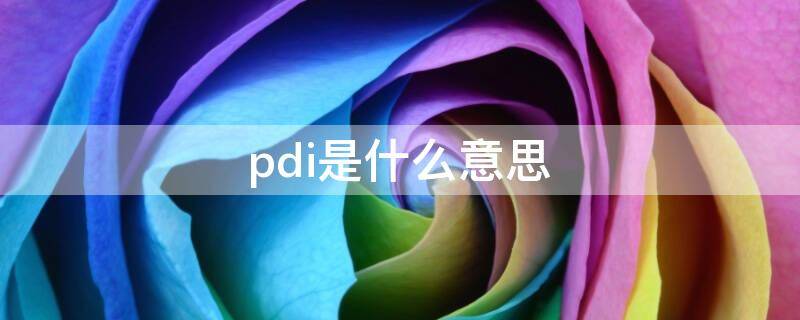 pdi是什么意思