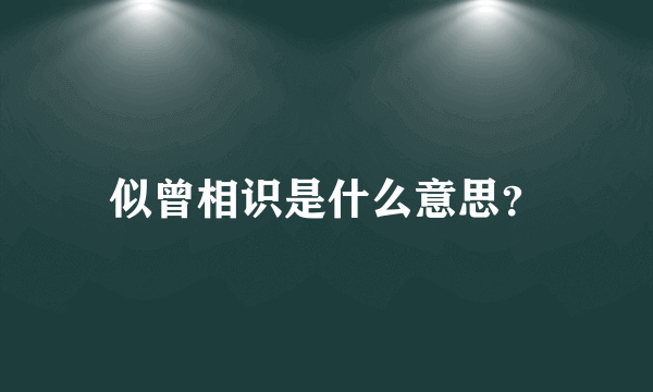 似曾相识是什么意思？