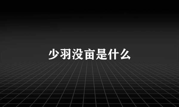 少羽没亩是什么