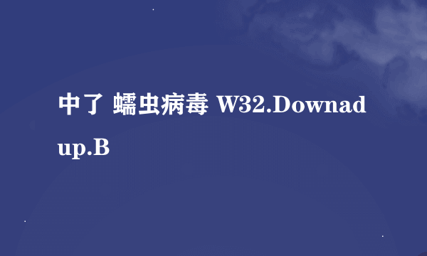 中了 蠕虫病毒 W32.Downadup.B