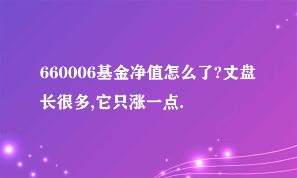 660006基金净值怎么了?丈盘长很多,它只涨一点.