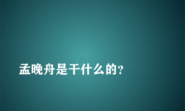 
孟晚舟是干什么的？

