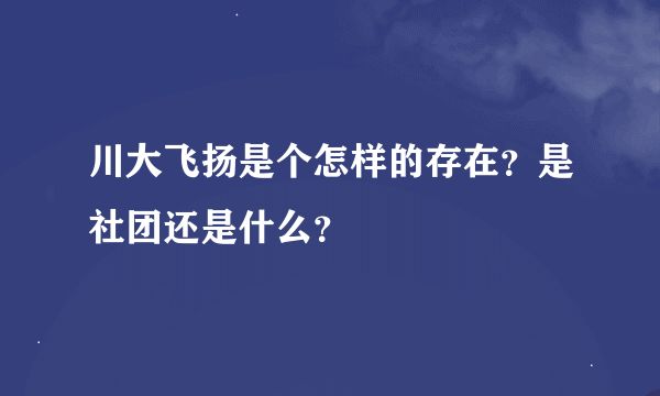 川大飞扬是个怎样的存在？是社团还是什么？