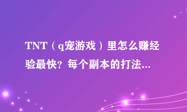 TNT（q宠游戏）里怎么赚经验最快？每个副本的打法？哪个副本最好打？