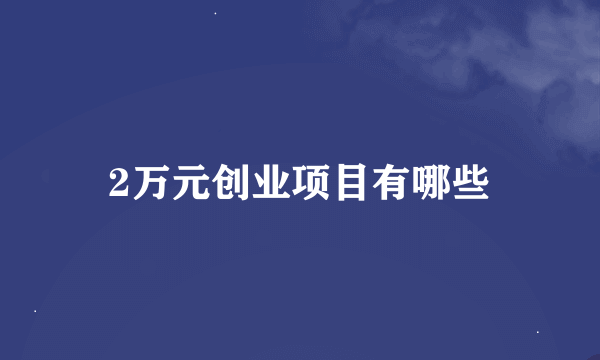 2万元创业项目有哪些