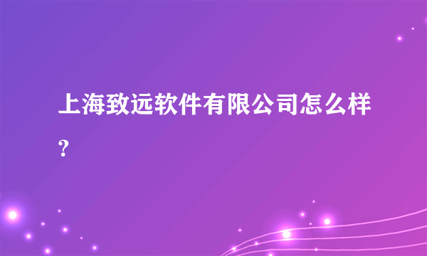 上海致远软件有限公司怎么样？