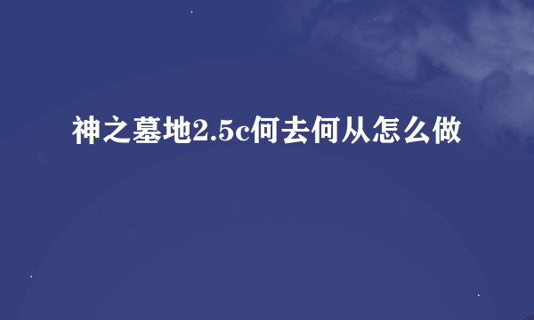 神之墓地2.5c何去何从怎么做