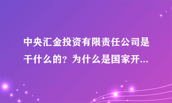 中央汇金投资有限责任公司是干什么的？为什么是国家开发银行的股东?