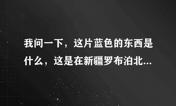 我问一下，这片蓝色的东西是什么，这是在新疆罗布泊北部罗布泊镇拍的卫星图