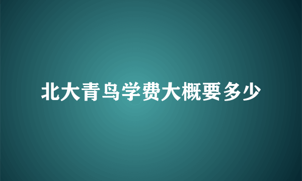 北大青鸟学费大概要多少