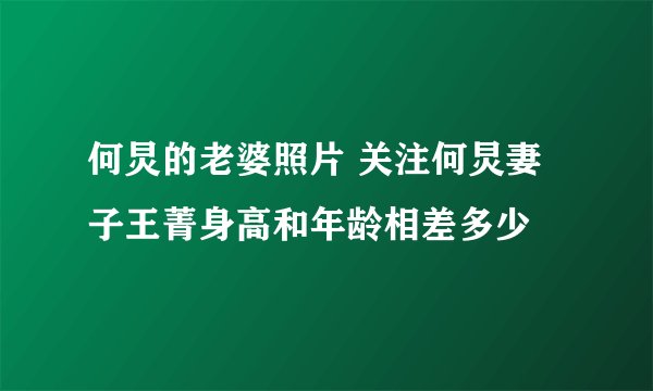 何炅的老婆照片 关注何炅妻子王菁身高和年龄相差多少