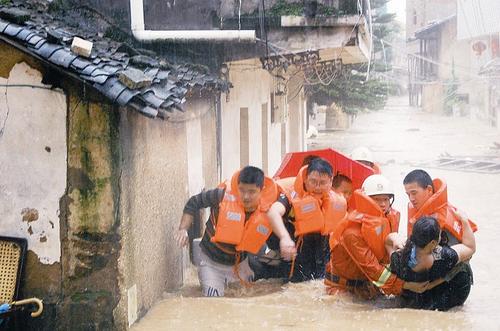 鸡群被洪水围困树枝七天，水中的鸡坚强是什么梗？