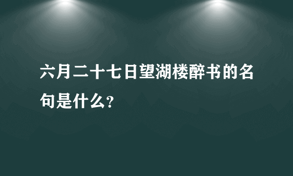 六月二十七日望湖楼醉书的名句是什么？