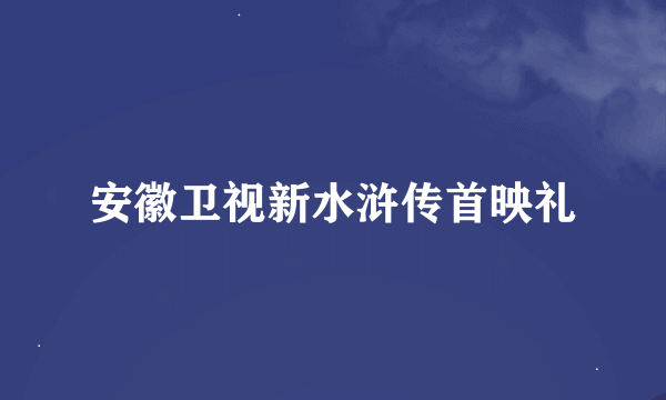 安徽卫视新水浒传首映礼