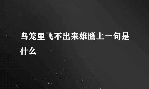 鸟笼里飞不出来雄鹰上一句是什么