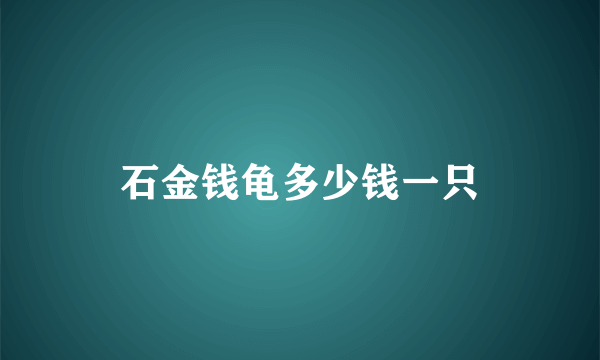 石金钱龟多少钱一只