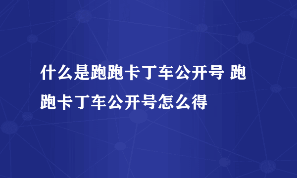 什么是跑跑卡丁车公开号 跑跑卡丁车公开号怎么得