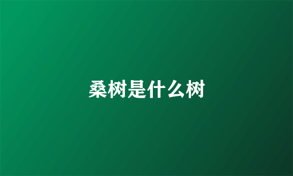 桑树是什么树