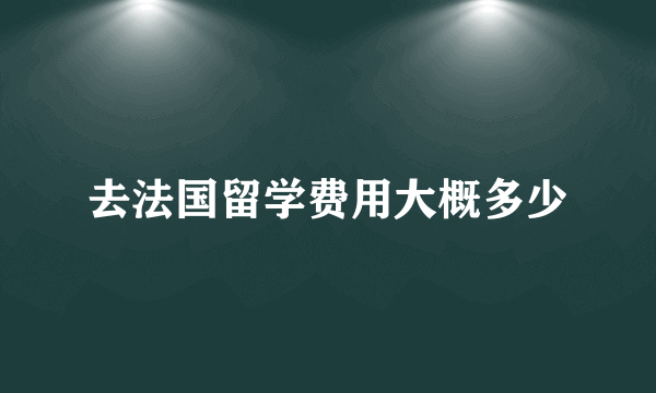 去法国留学费用大概多少