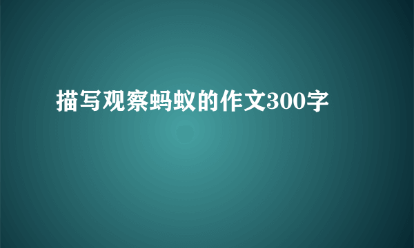 描写观察蚂蚁的作文300字