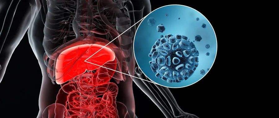 已有12国发现新型不明肝炎，患这种病之后会有哪些症状表现？