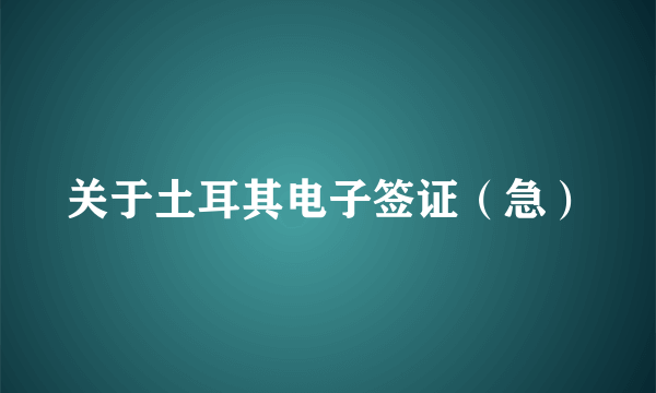 关于土耳其电子签证（急）