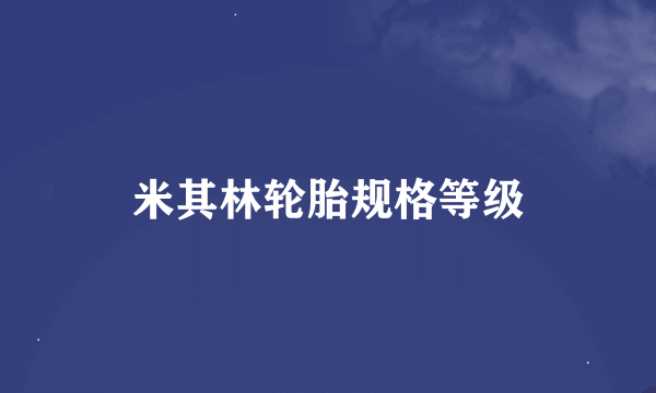 米其林轮胎规格等级