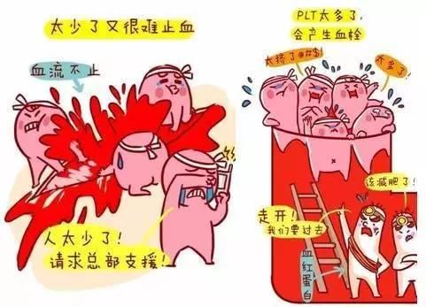 平均血小板体积偏低是什么意思？