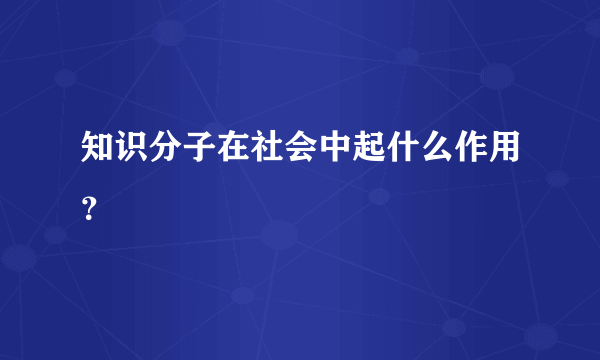 知识分子在社会中起什么作用？