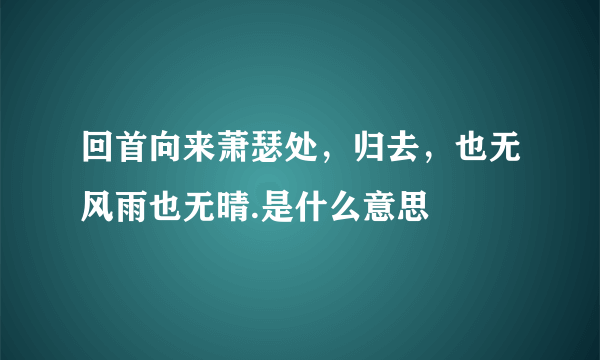 回首向来萧瑟处，归去，也无风雨也无晴.是什么意思