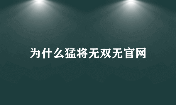 为什么猛将无双无官网