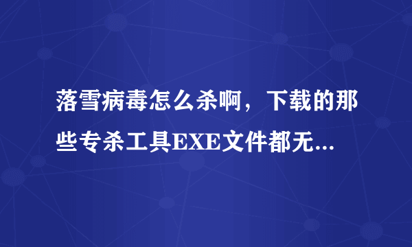 落雪病毒怎么杀啊，下载的那些专杀工具EXE文件都无法打开了，气死人，怎么办??