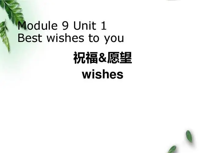 wishes什么意思