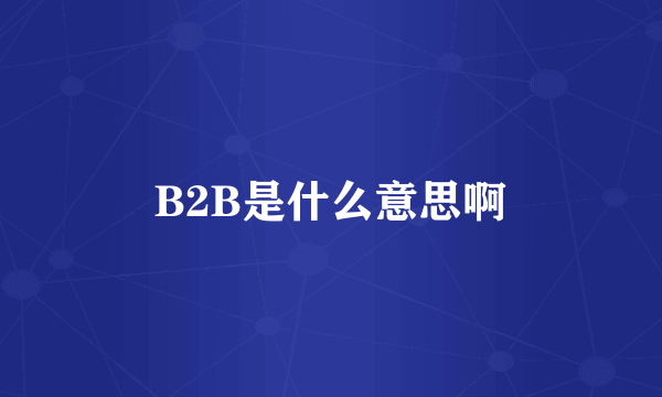 B2B是什么意思啊