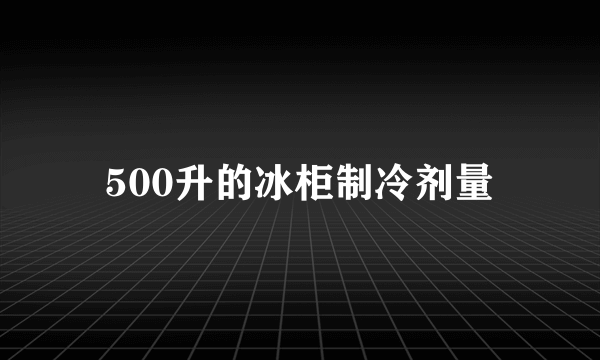 500升的冰柜制冷剂量