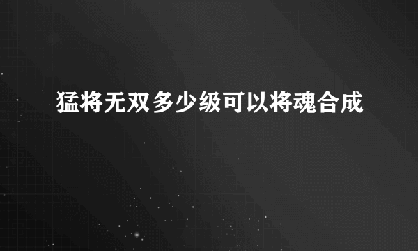 猛将无双多少级可以将魂合成