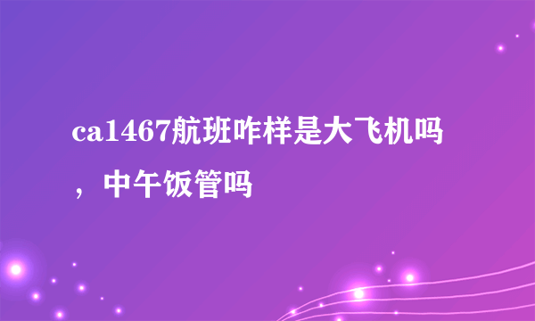 ca1467航班咋样是大飞机吗，中午饭管吗