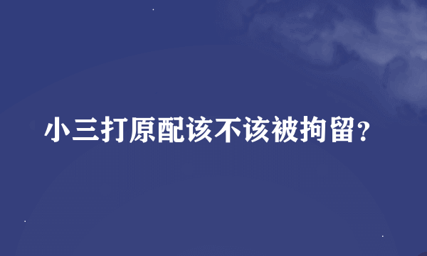 小三打原配该不该被拘留？