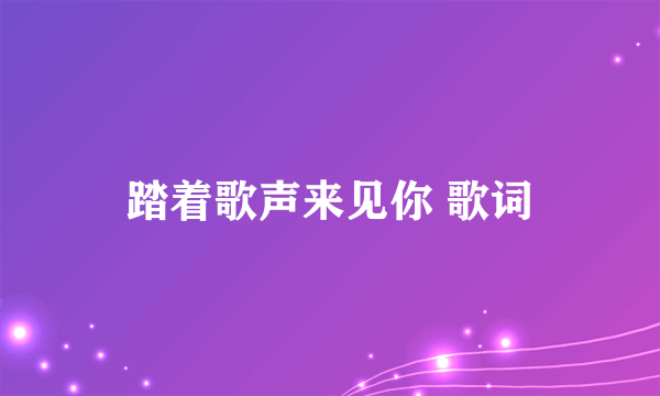 踏着歌声来见你 歌词