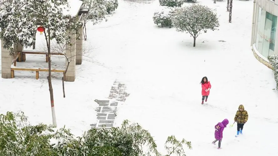 吉林白城一女子手机掉落被大爷踢到雪堆埋藏，你如何看待大爷这一行为？