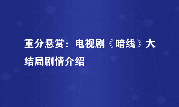 重分悬赏：电视剧《暗线》大结局剧情介绍