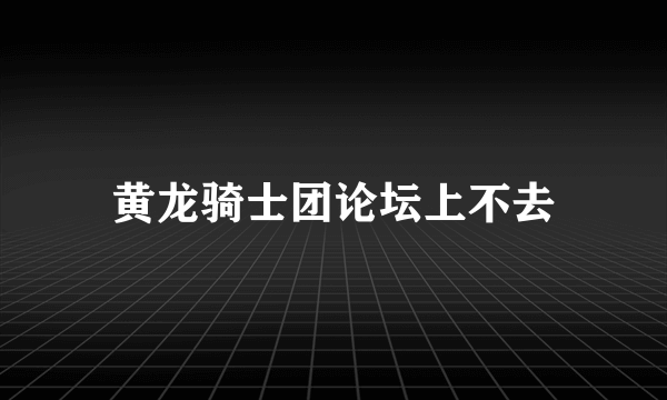 黄龙骑士团论坛上不去