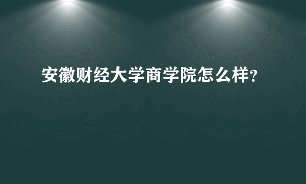 安徽财经大学商学院怎么样？