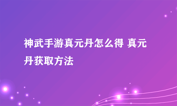 神武手游真元丹怎么得 真元丹获取方法