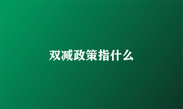 双减政策指什么