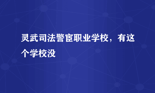 灵武司法警宦职业学校，有这个学校没