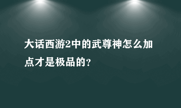 大话西游2中的武尊神怎么加点才是极品的？